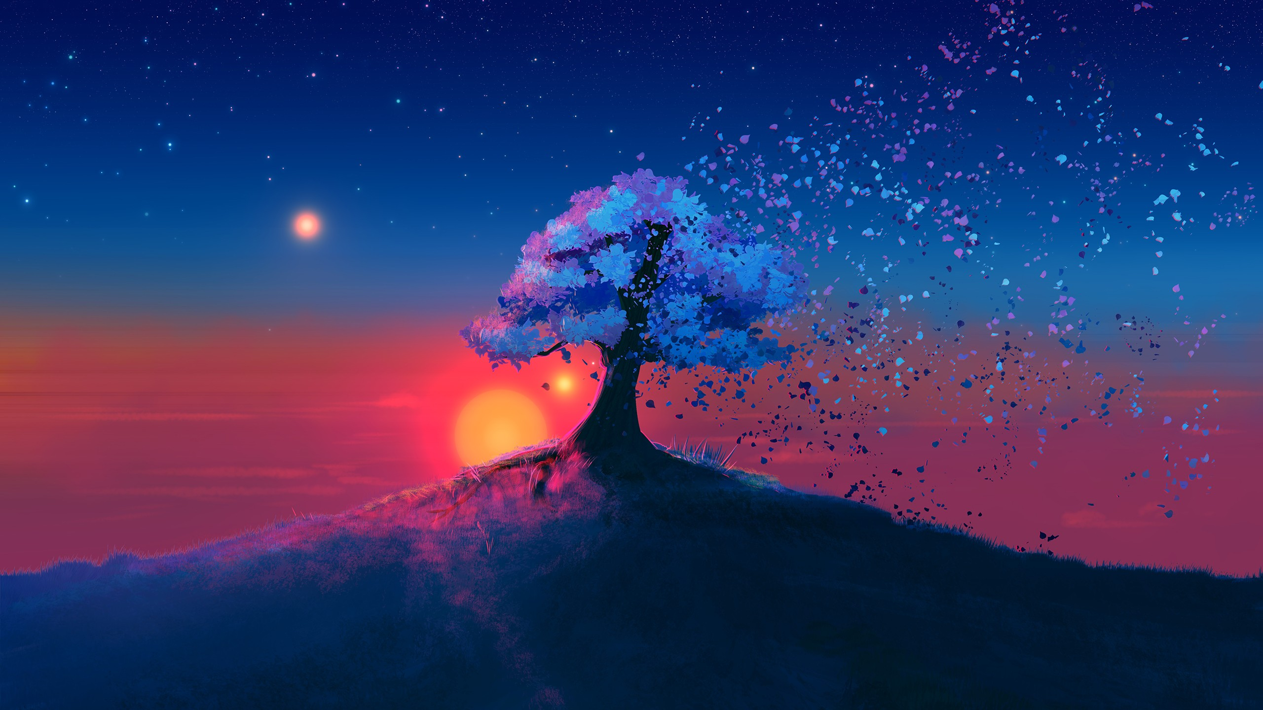 Tree X Sunset Wallpaper