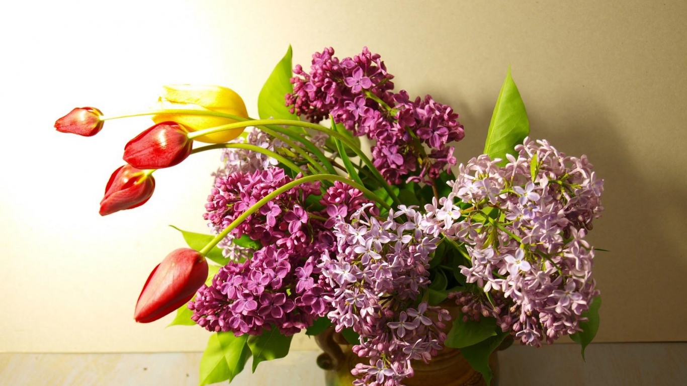 Download Wallpaper 1366x768 lilacs bloom tulips spring laptop