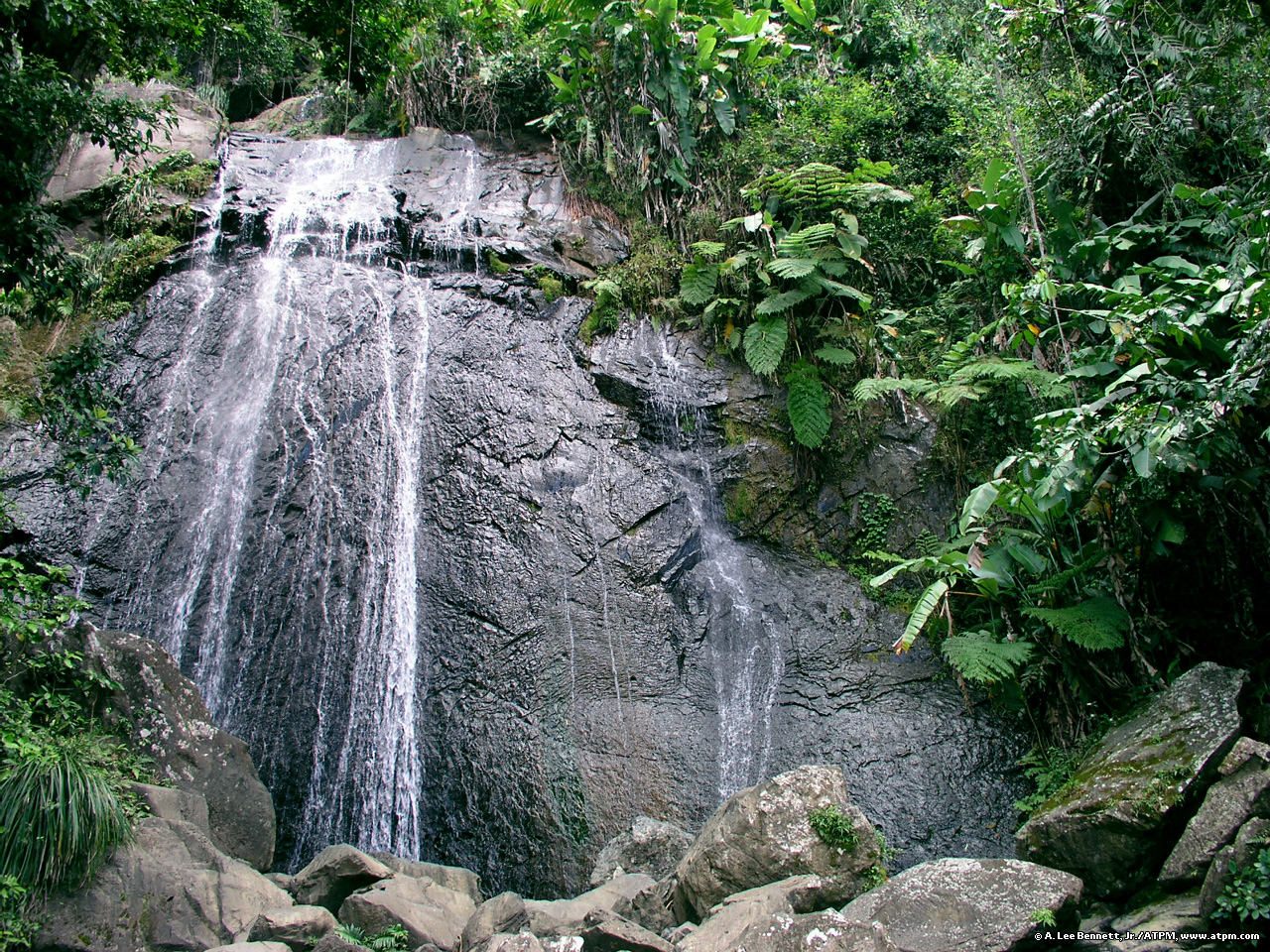 Puerto Rico El Yunque Waterfall