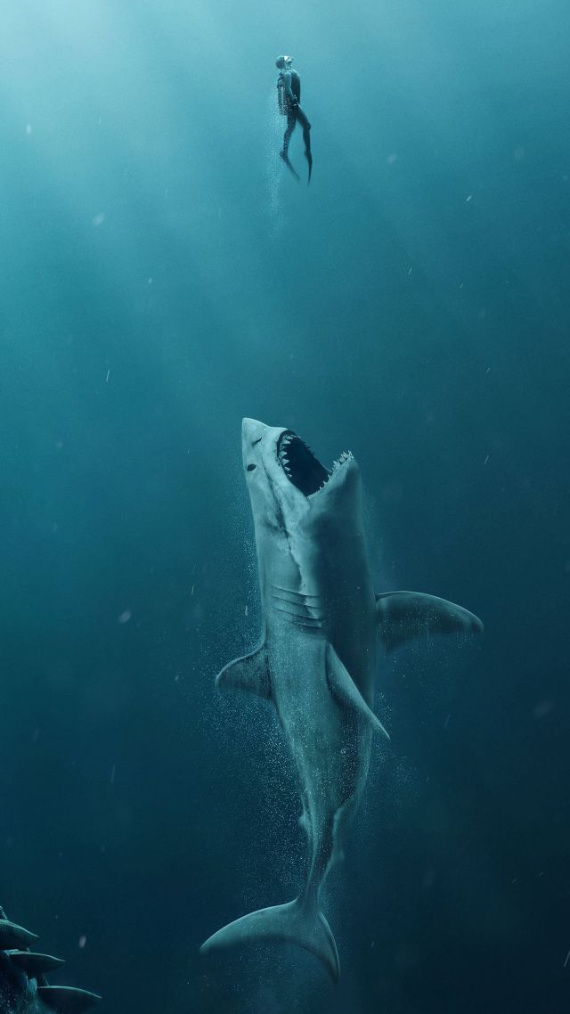 Wallpaper The Meg Shark 4k Movies
