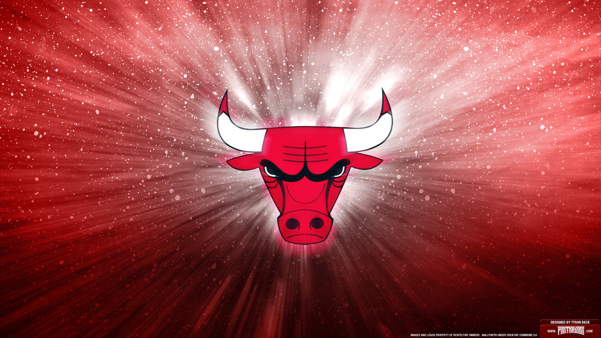 Wallpaper Chicago Bulls Logo Portfolio