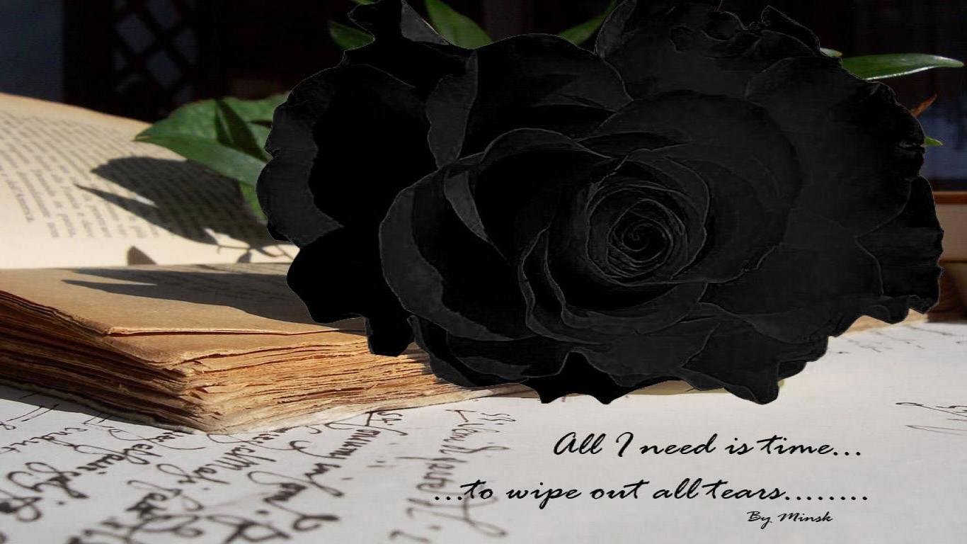 Black Roses Wallpaper HD Background Desktop