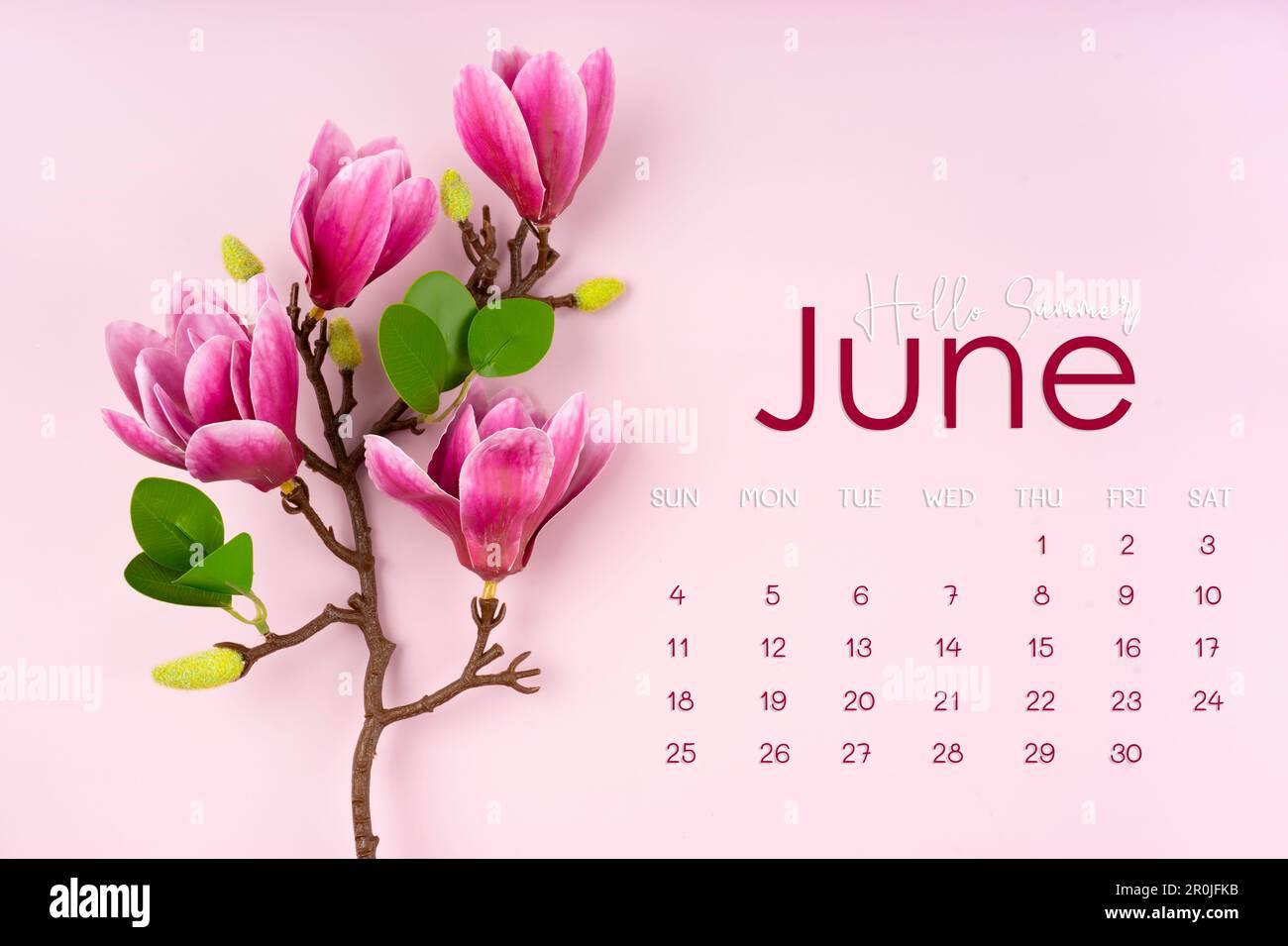 June 2023 calendar page with pink magnolia flower on pink