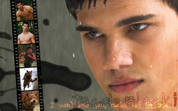 Just For The Fun Of It Here Is A Taylor Lautner Wallpaper Made By