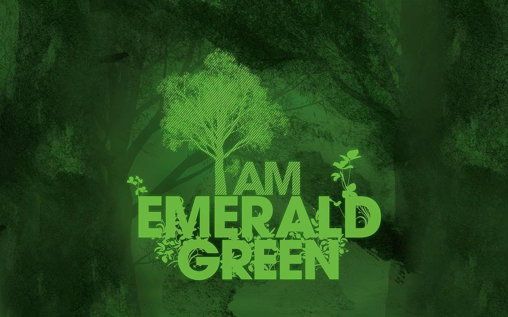 Emerald Green Wallpaper Jpg Color Me