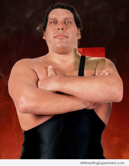 The Big Man Andre Giant Wwe Superstars
