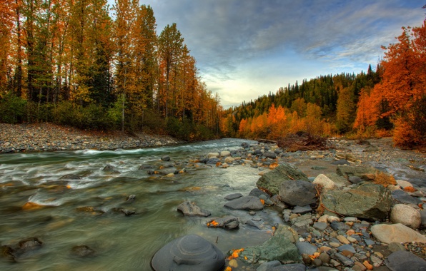 Wallpaper Alaska Fall Forest River Stream Rocks Nature