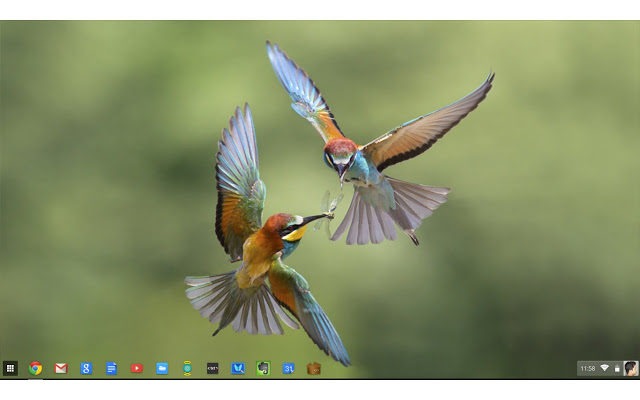 The Desktop Wallpaper On Chromeos Requires Dev Channel Of Chrome Os