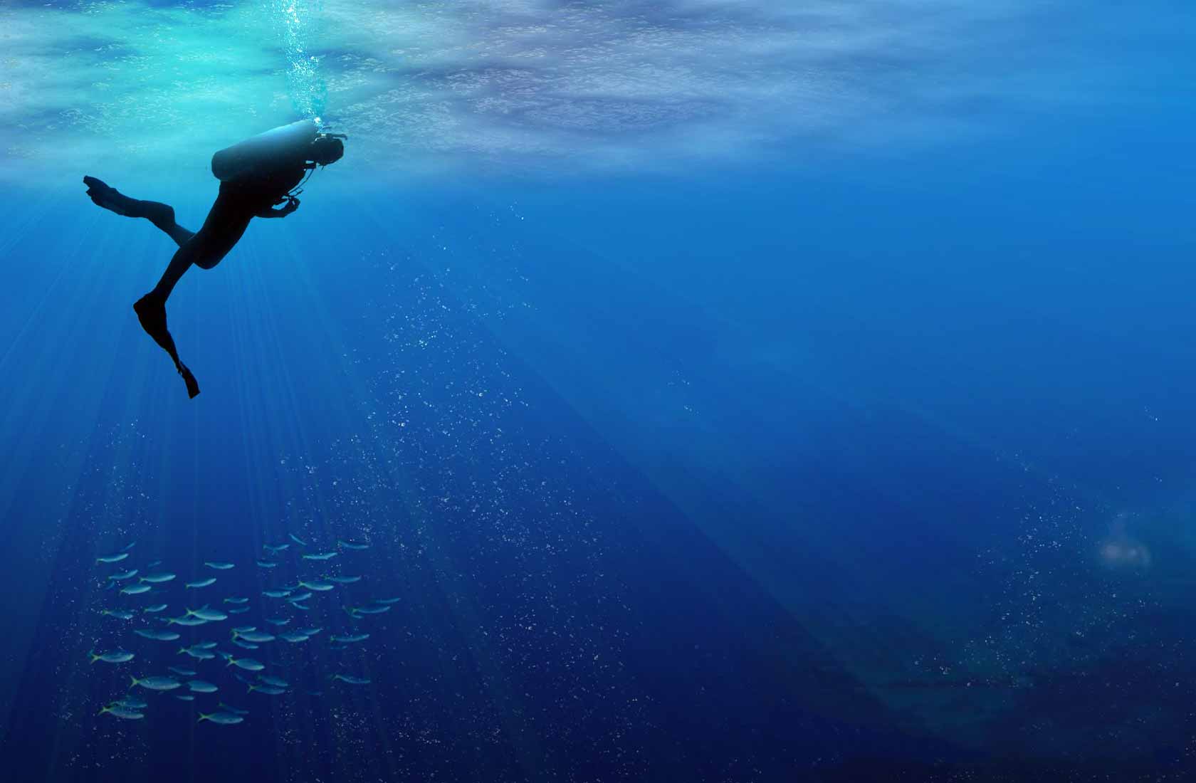Diving Wallpaper Kl Divers