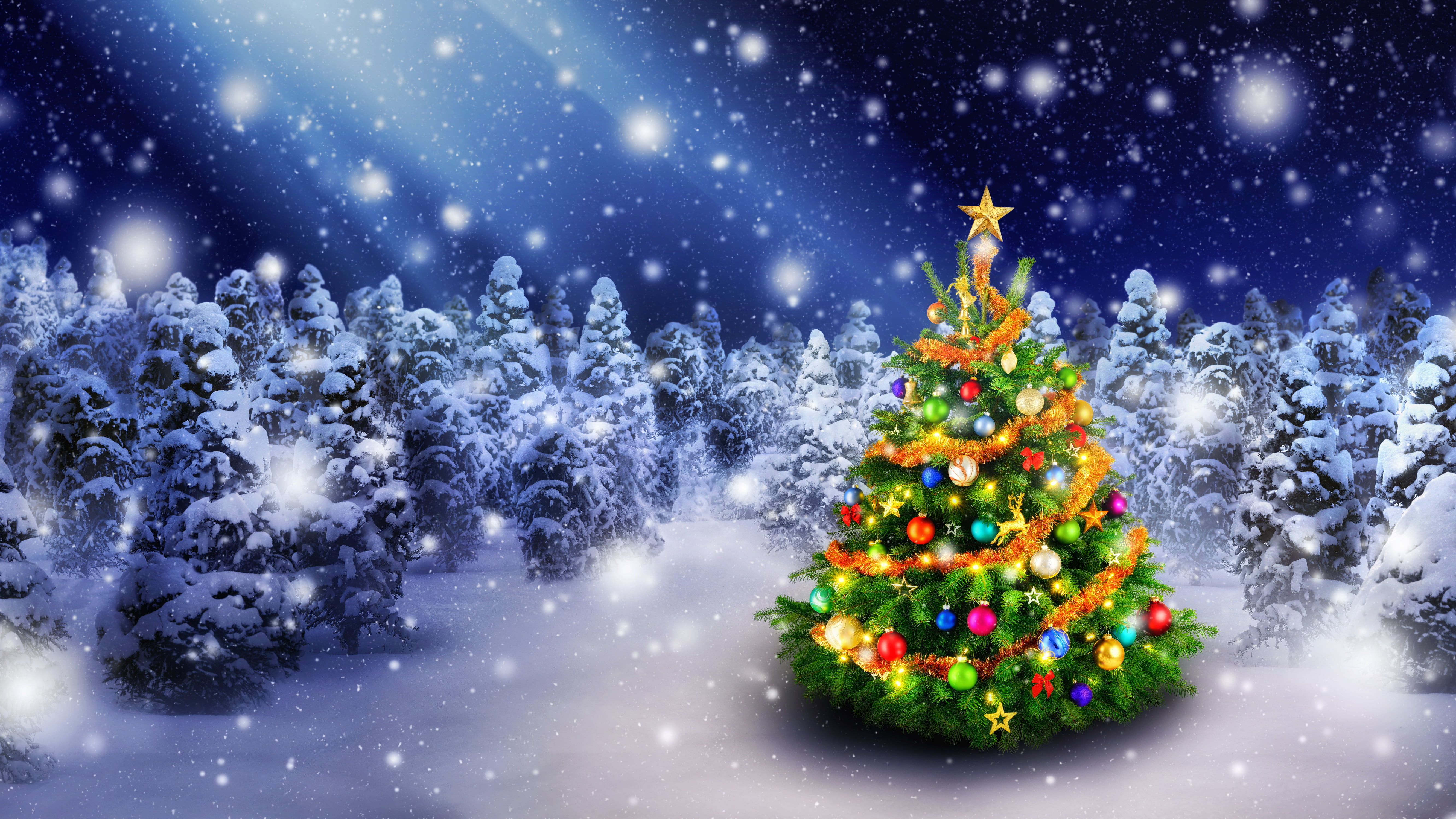 Lighted Christmas tree HD wallpaper