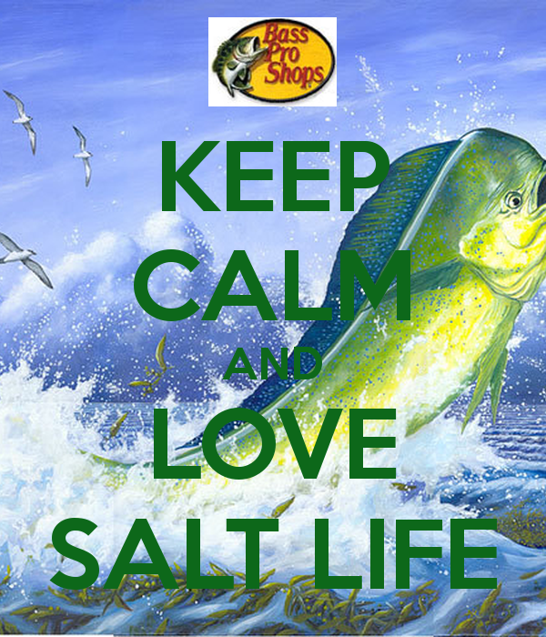 Salt Life Logo Wallpaper Widescreen wallpaper