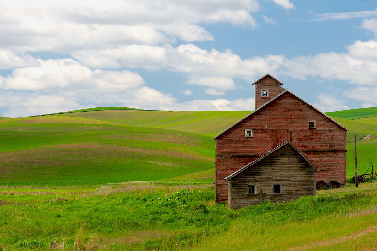 This Old Weathered Barn Contrasted Nicely With The Fresh Fields In