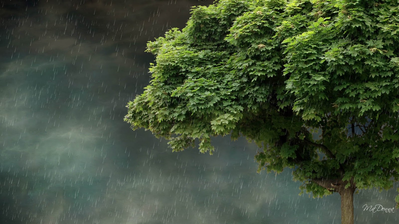 Beautiful Rain Wallpaper