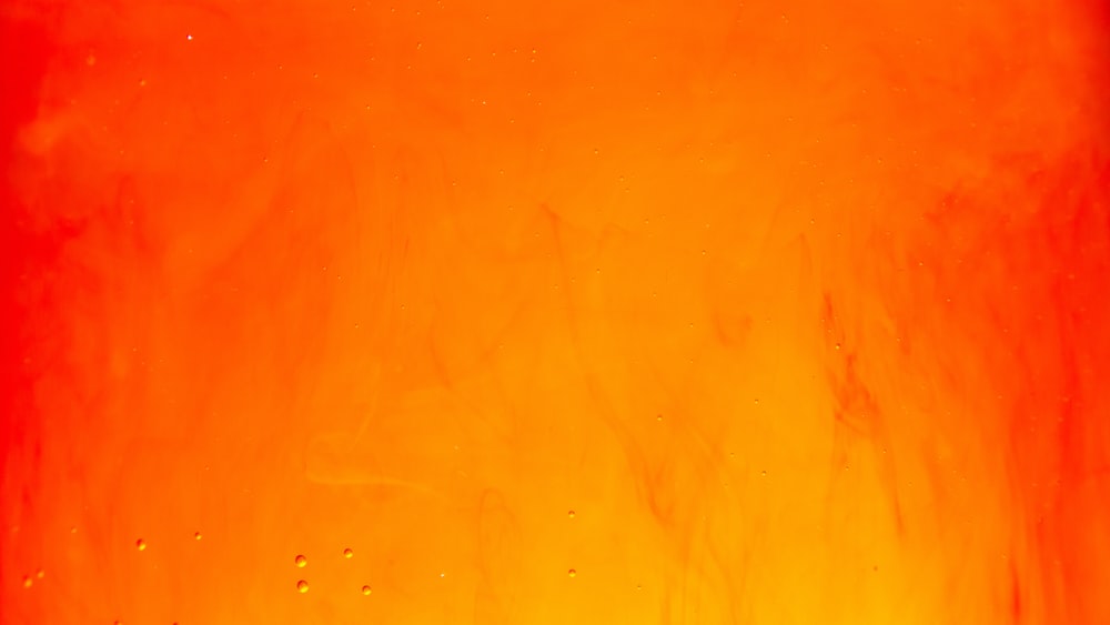 Orange Wallpaper HD Hq