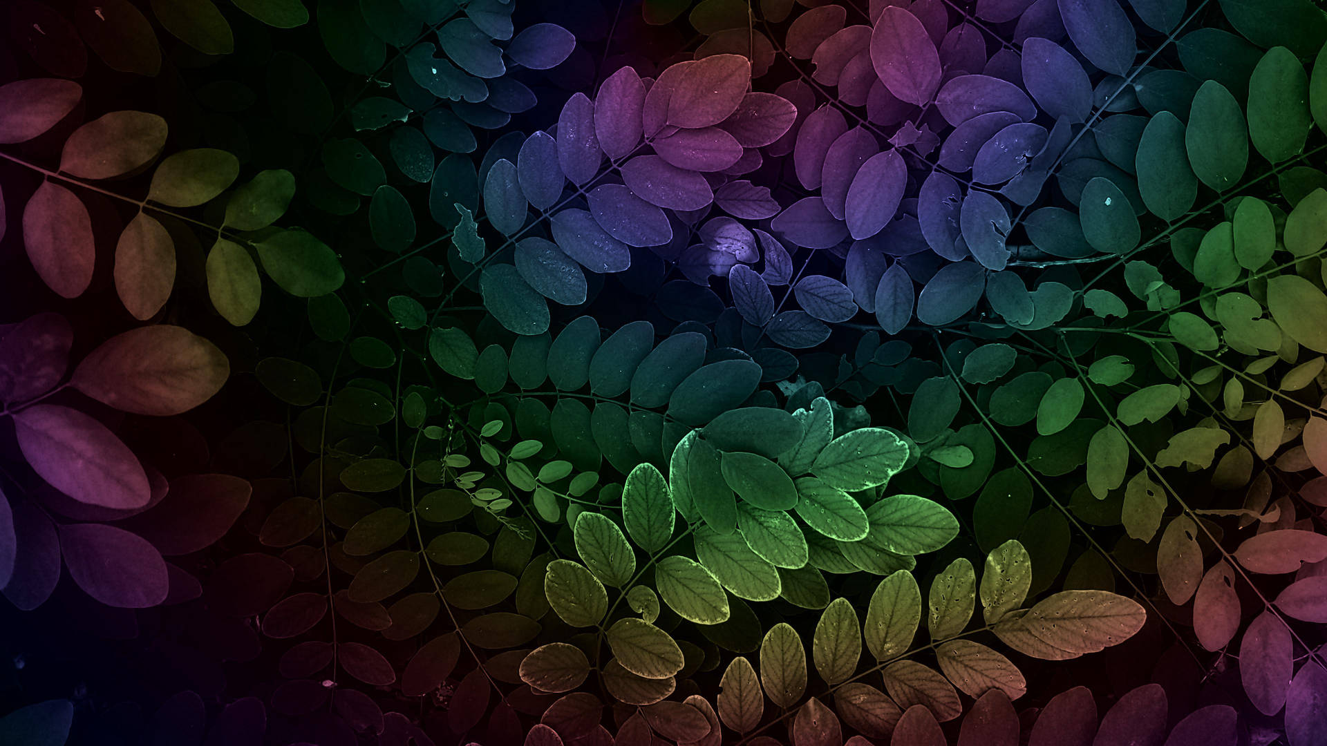 Top Rainbow Aesthetic Wallpaper Full HD 4k To Use
