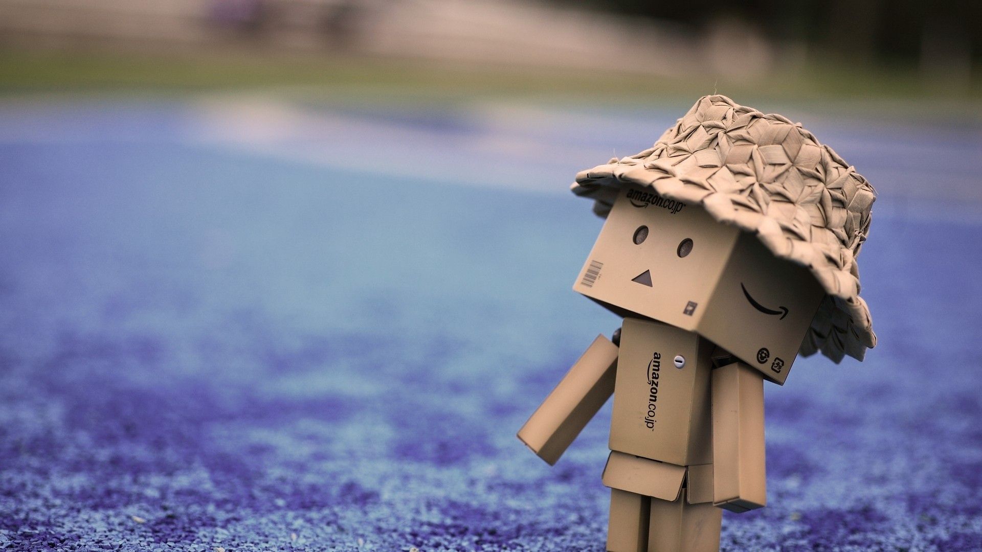 Jannell Nomee On Box People Danbo