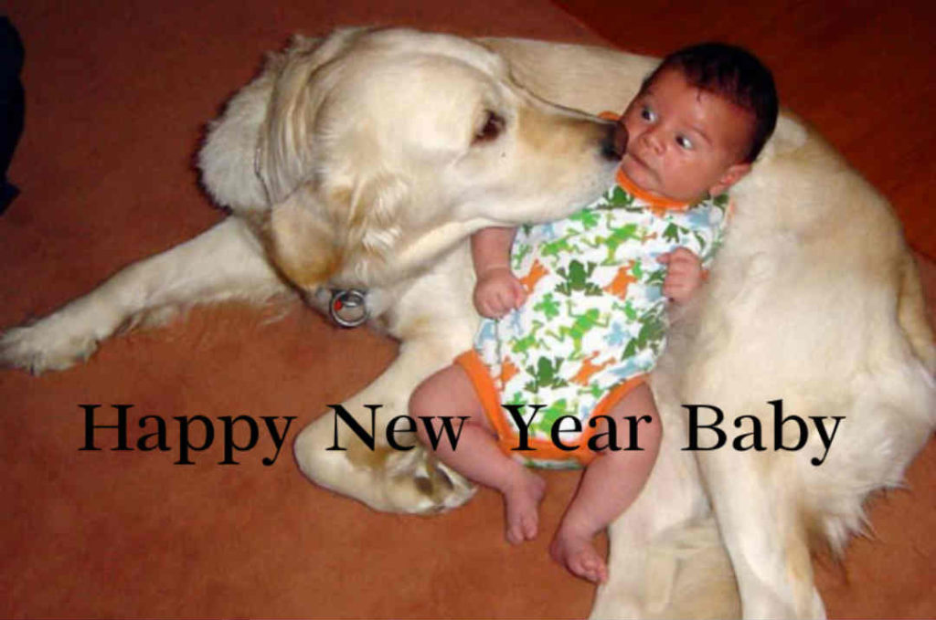 New Year Funny Image Wallpaper Photo Cards To Say Happy