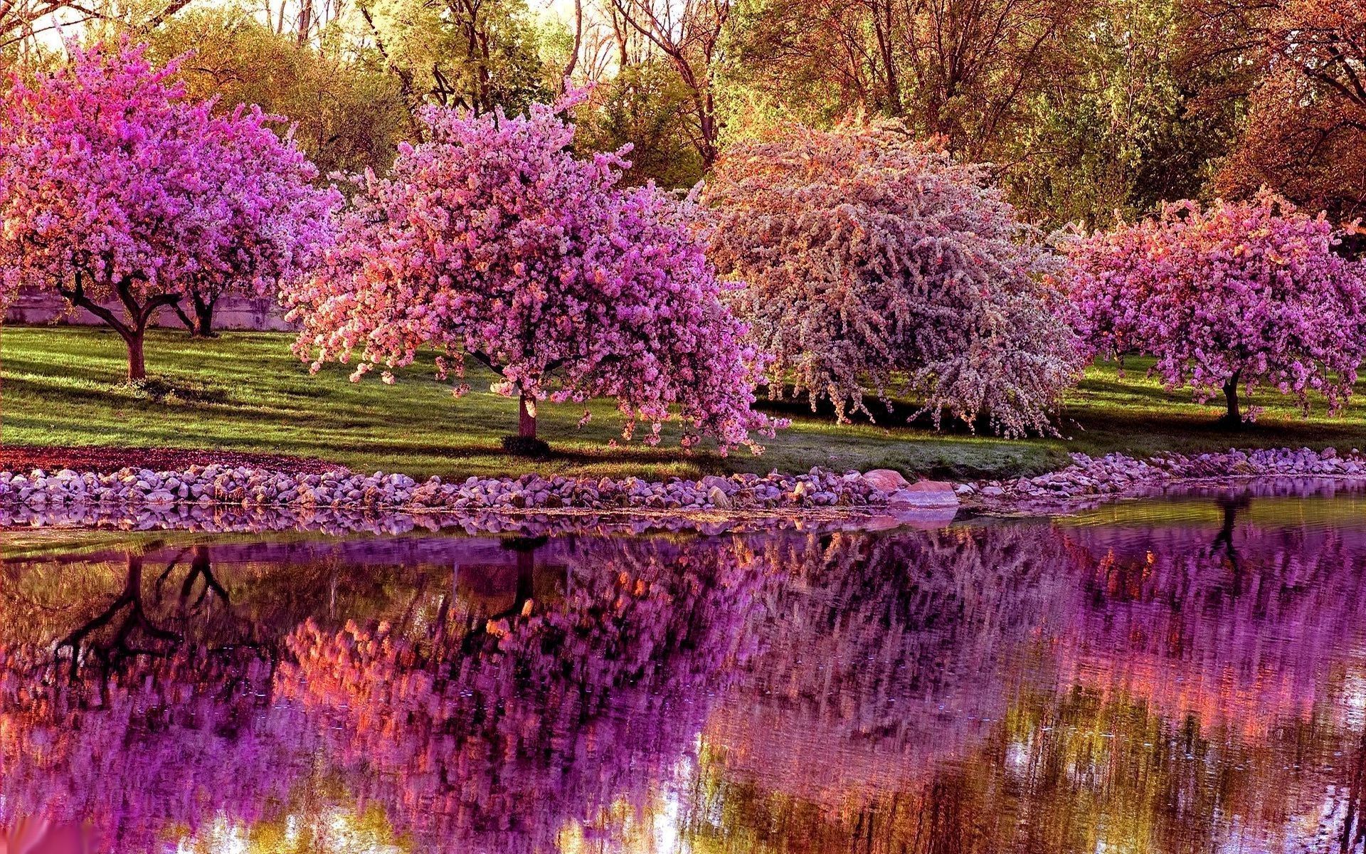 Beautiful Spring Desktop Wallpapers   Top Free Beautiful Spring