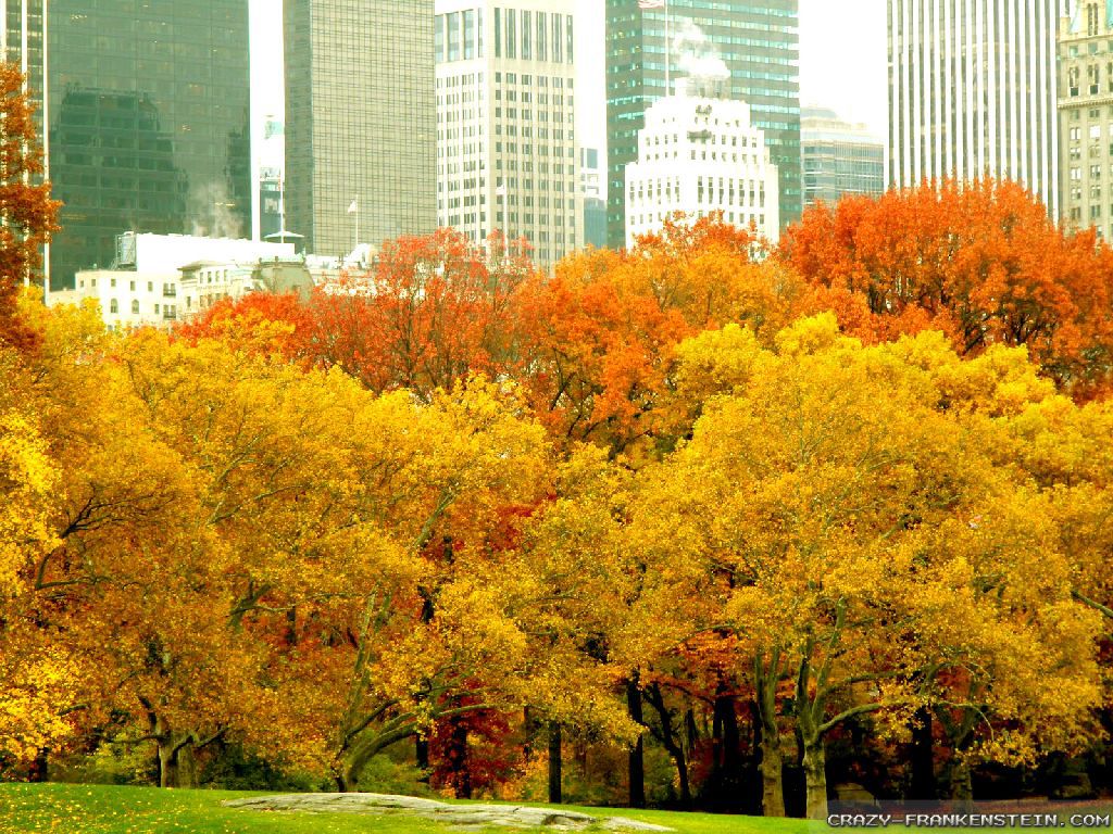 Wallpaper Autumn New York City Skyline In