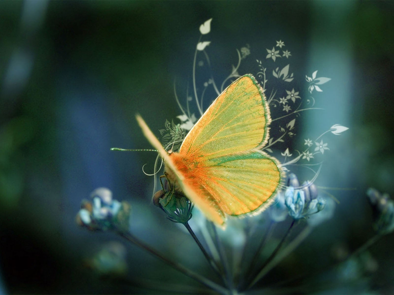 A vibrant orange and yellow butterfly with delicate, translucent wings rests on a flowering plant, evoking a sense of tranquility and natural beauty