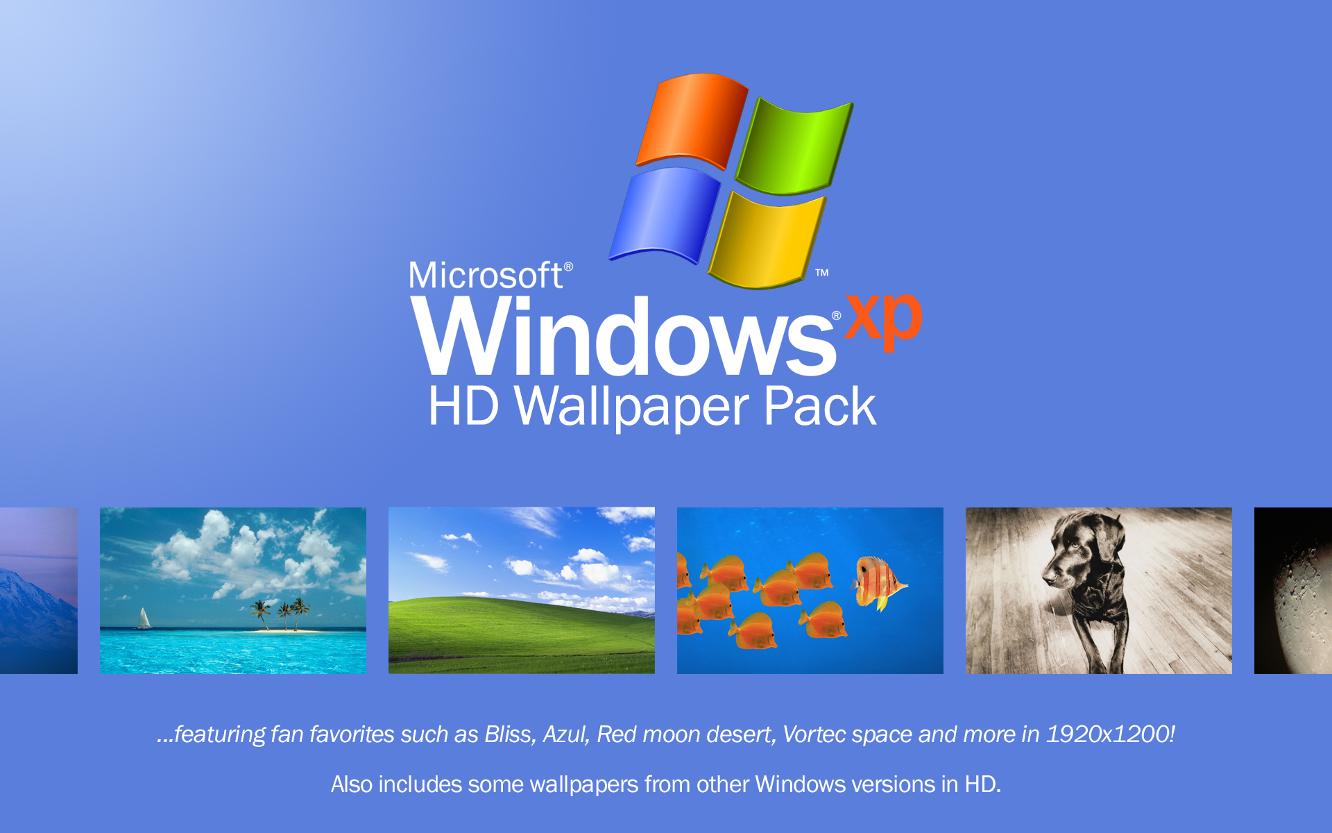 Windows Xp HD Wallpaper Pack By Windowssenpai