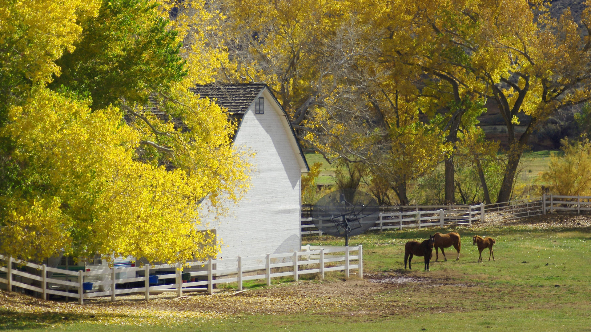 Autumn Country Farm Wallpaper