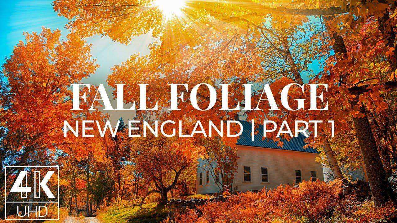 Fall Foliage In New England 4k Wallpaper Slideshow Enchanting