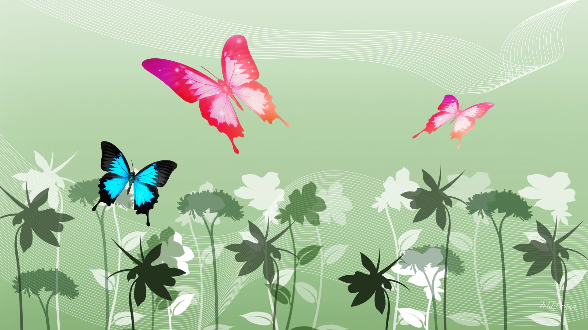Colorful Butterfly HD Wallpaper