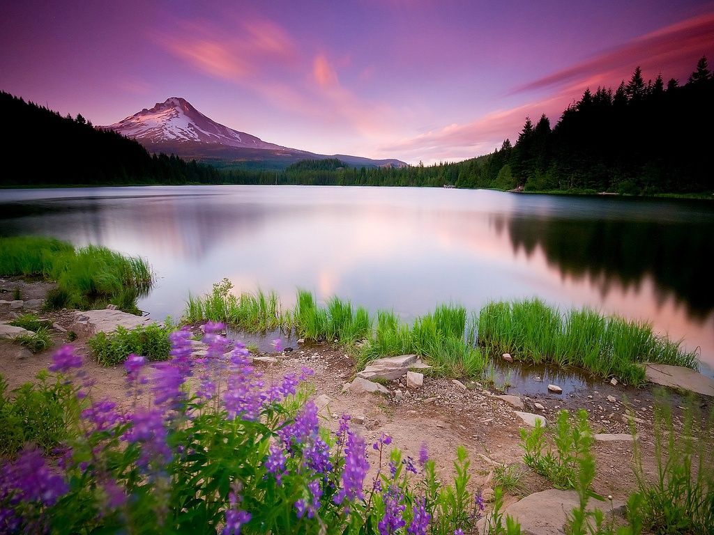 Lake Lavender Sky Mountain Peaceful Purple Still