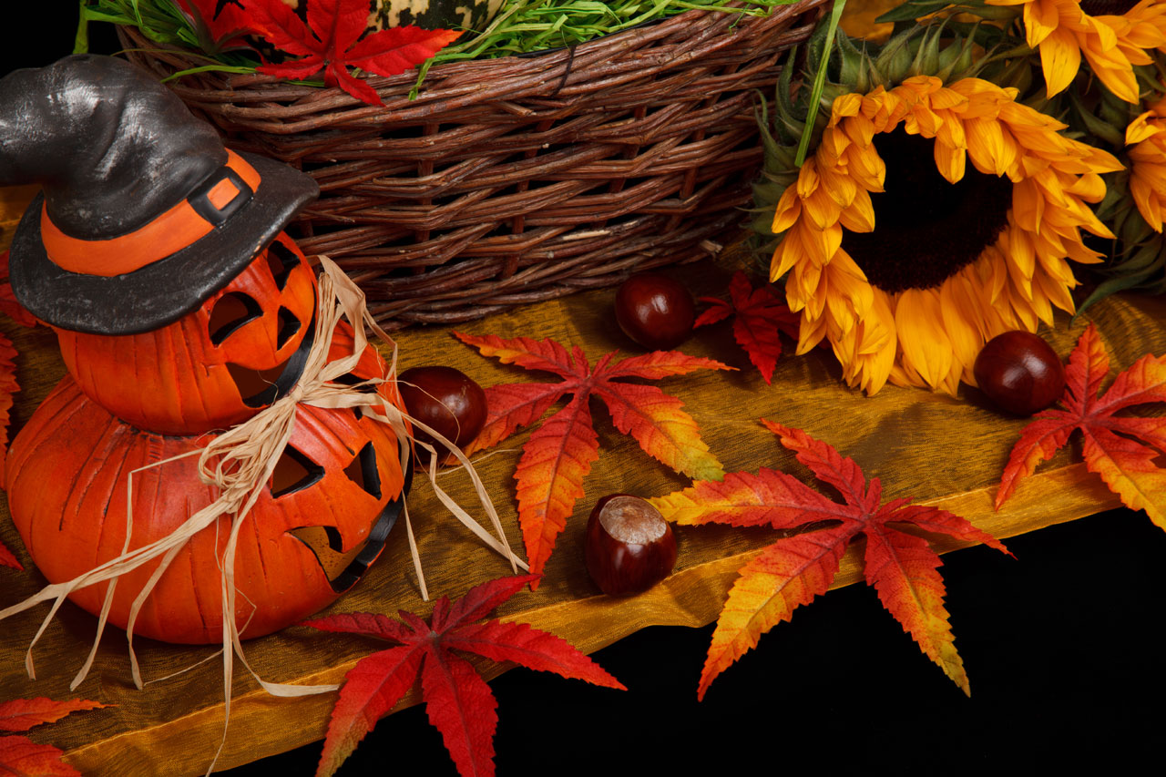 Halloween Autumn Theme Stock Photo HD Public Domain Pictures