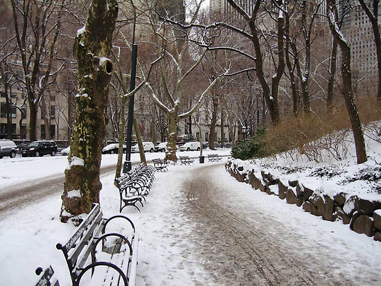 Winter Central Park Wallpaper