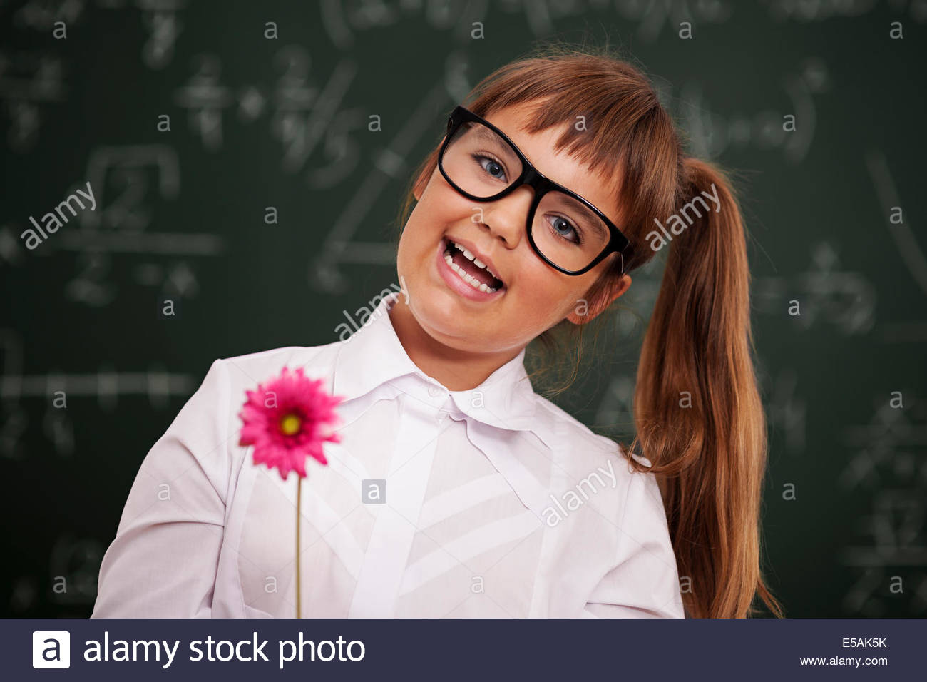 Flower Of Pupil Stock Photos Image