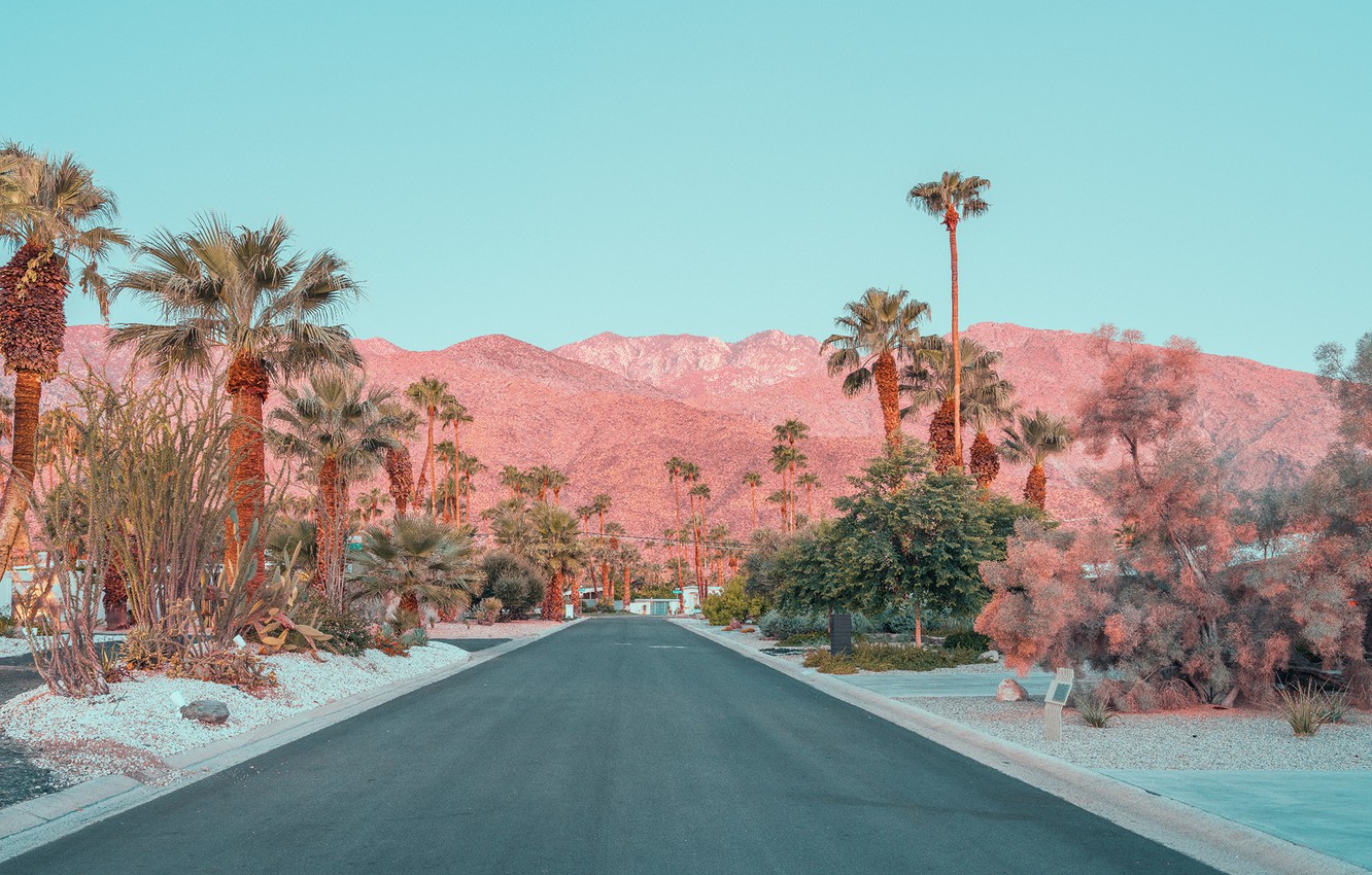 Wallpaper road mountains palm trees street ONCE UPON A TIME IN