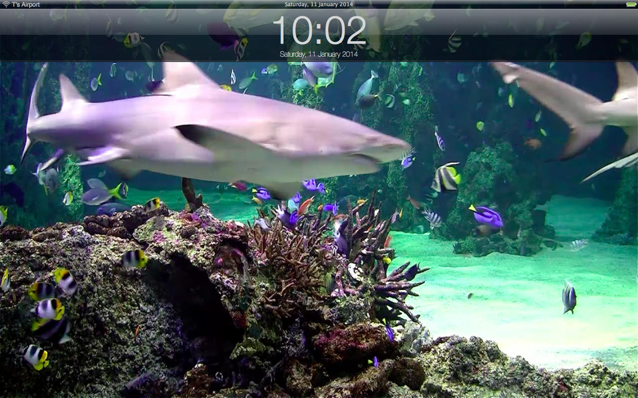 Free Download App Shopper Aquarium Live Lite Relaxing Screensaver Clock