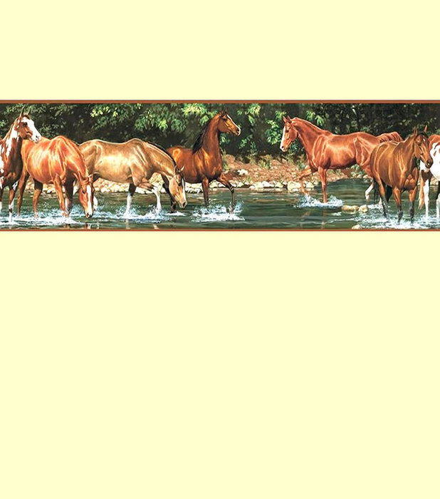 Free Download Wild Horses Wallpaper Border For A Horse Or Pony