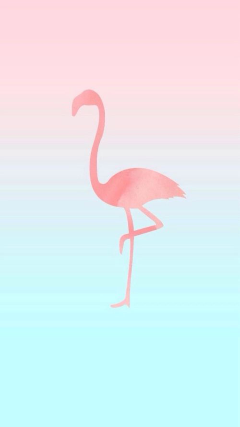 Flamingo Flamingos iPhone Wallpaper Desktop Hq Image
