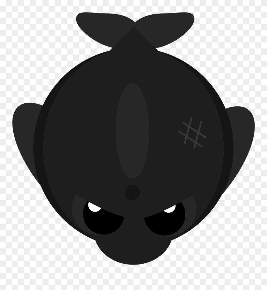 Pilot Whale Wallpaper