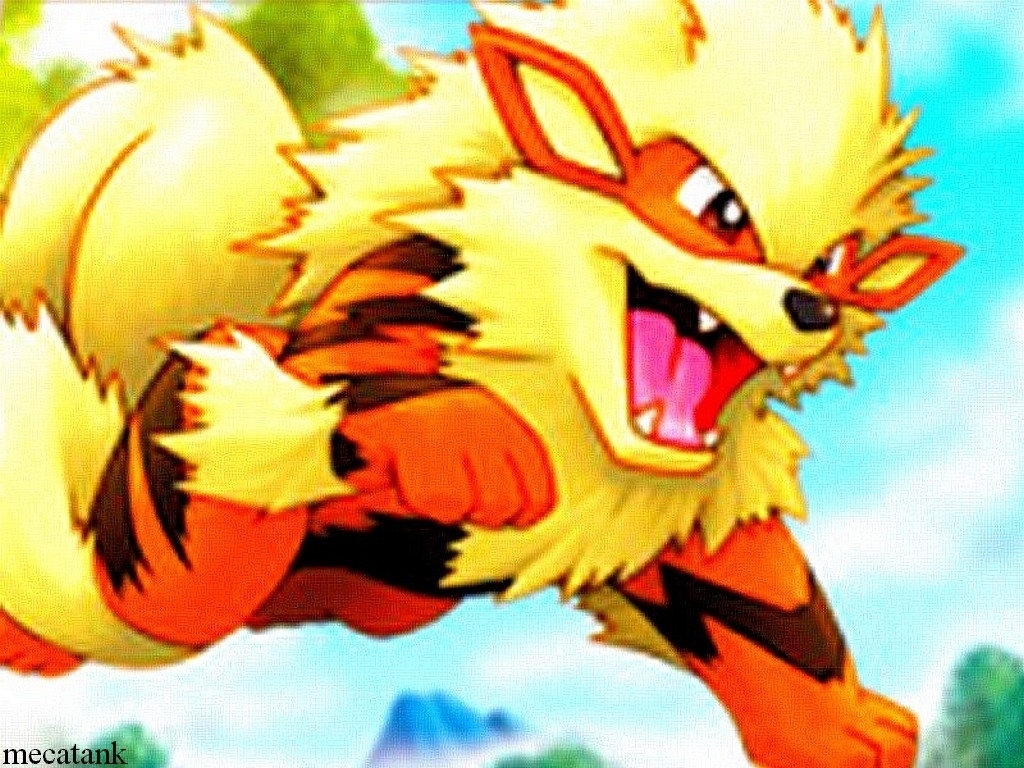 Arcanine Or Sneasel Poll Results Pok Mon