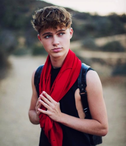 Hrvy Image Reverse Search