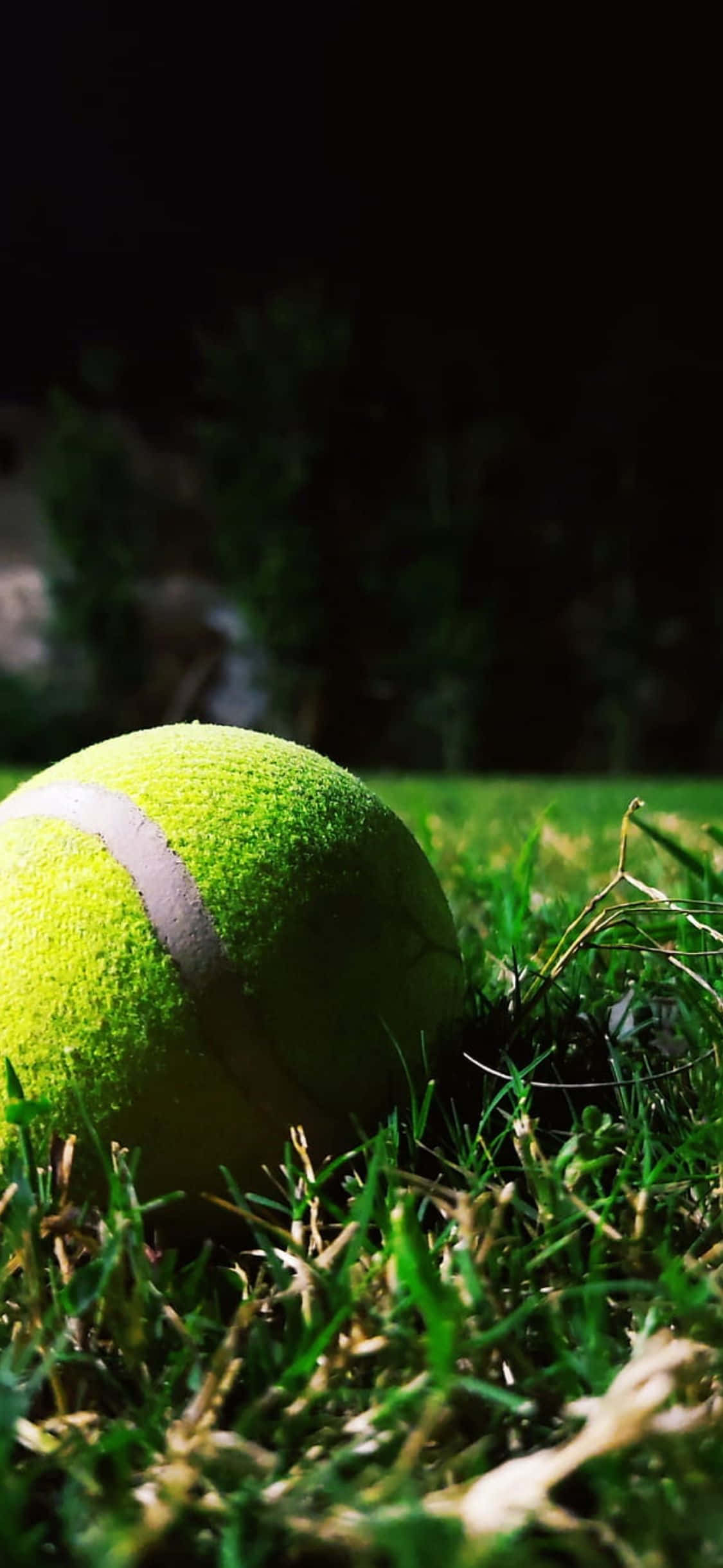 iPhone Xs Tennis Background Wallpaper