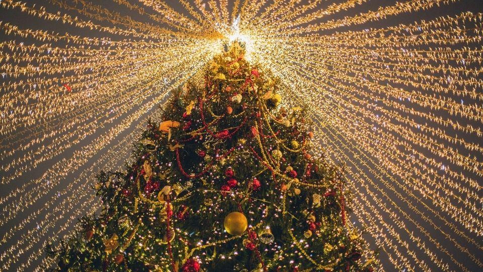 The Most Beautiful Christmas Trees Of