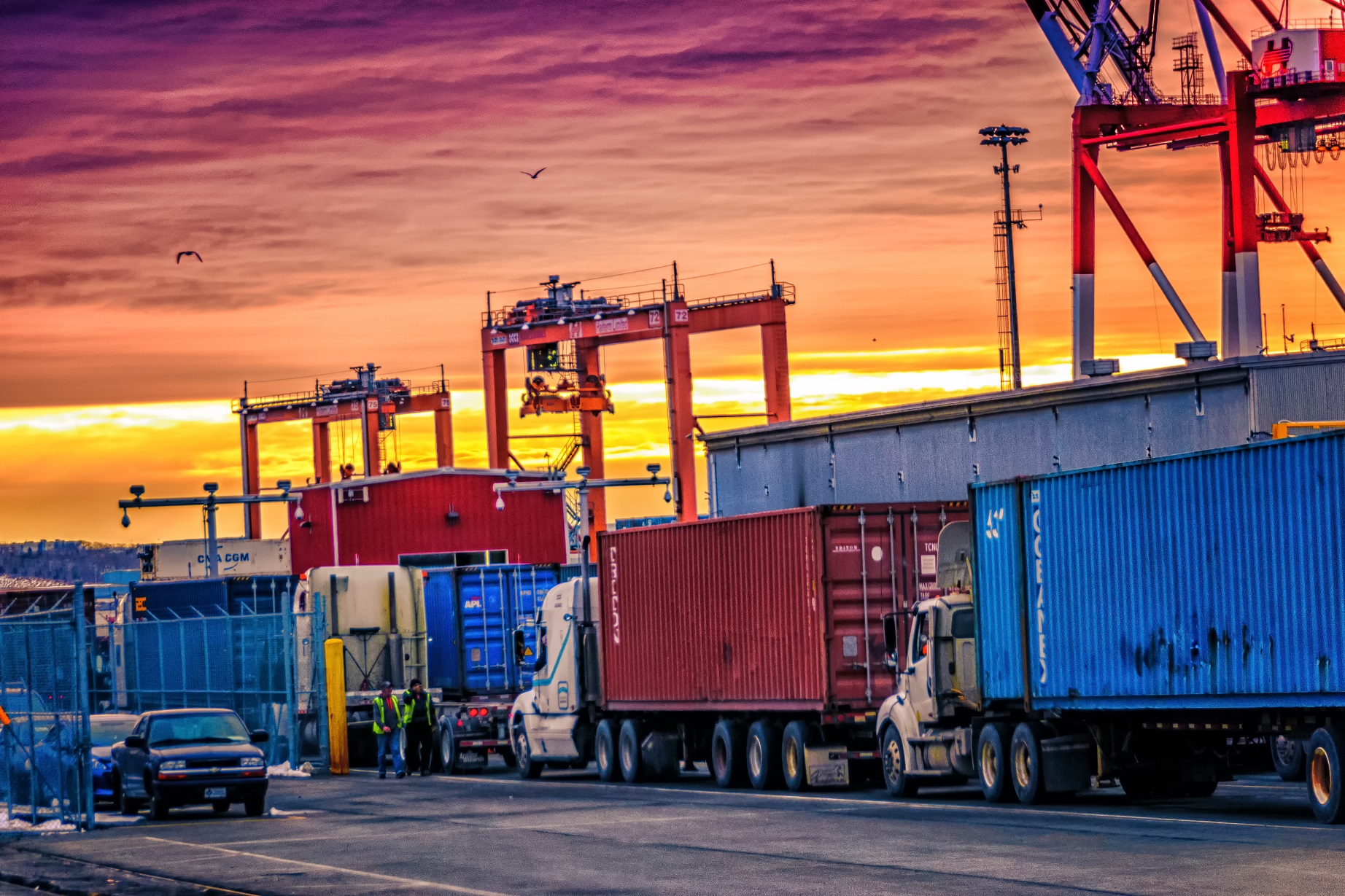 1620119 Container Stock Photos HighRes Pictures and Images  Getty  Images