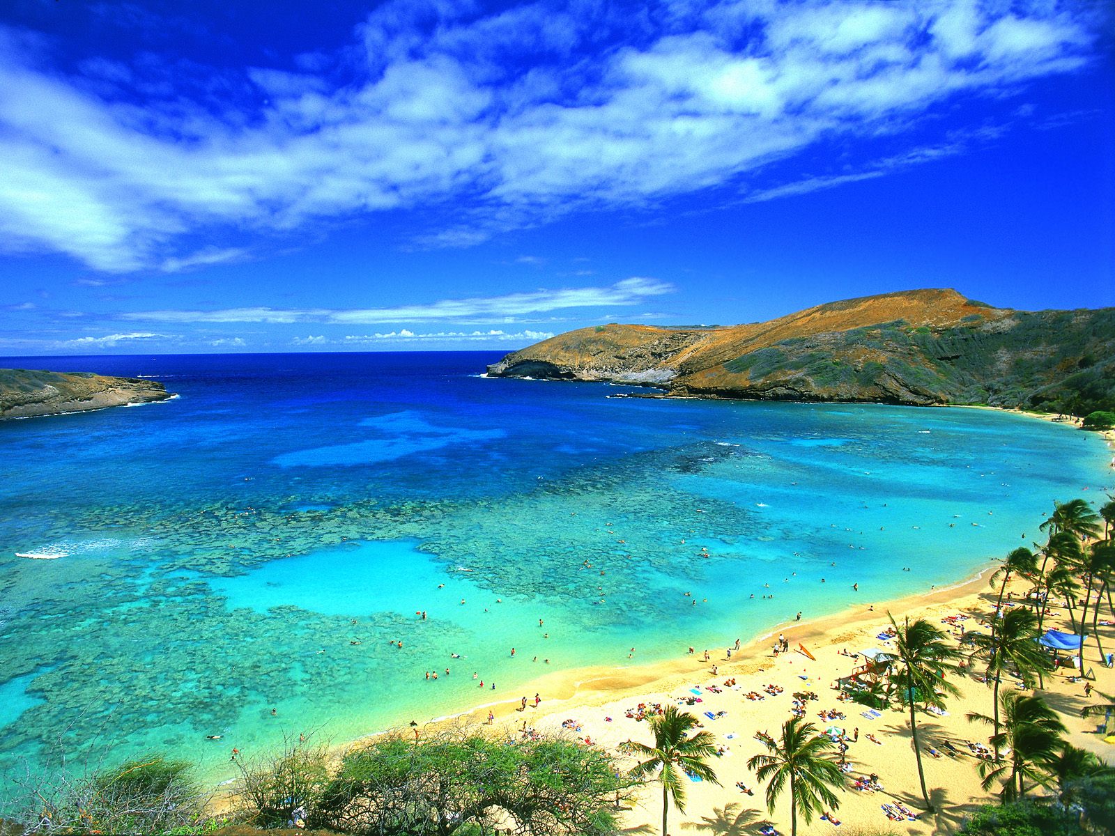 Hawaii Beach Wallpaper HD