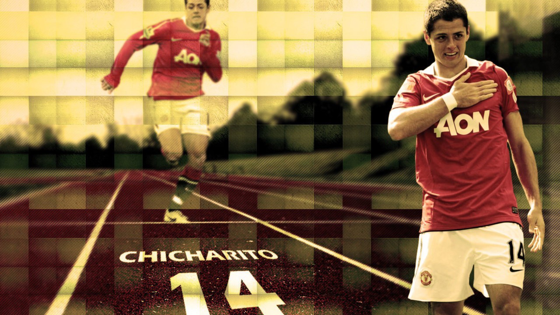 Hernandez Manchester United Premier League Football Stars