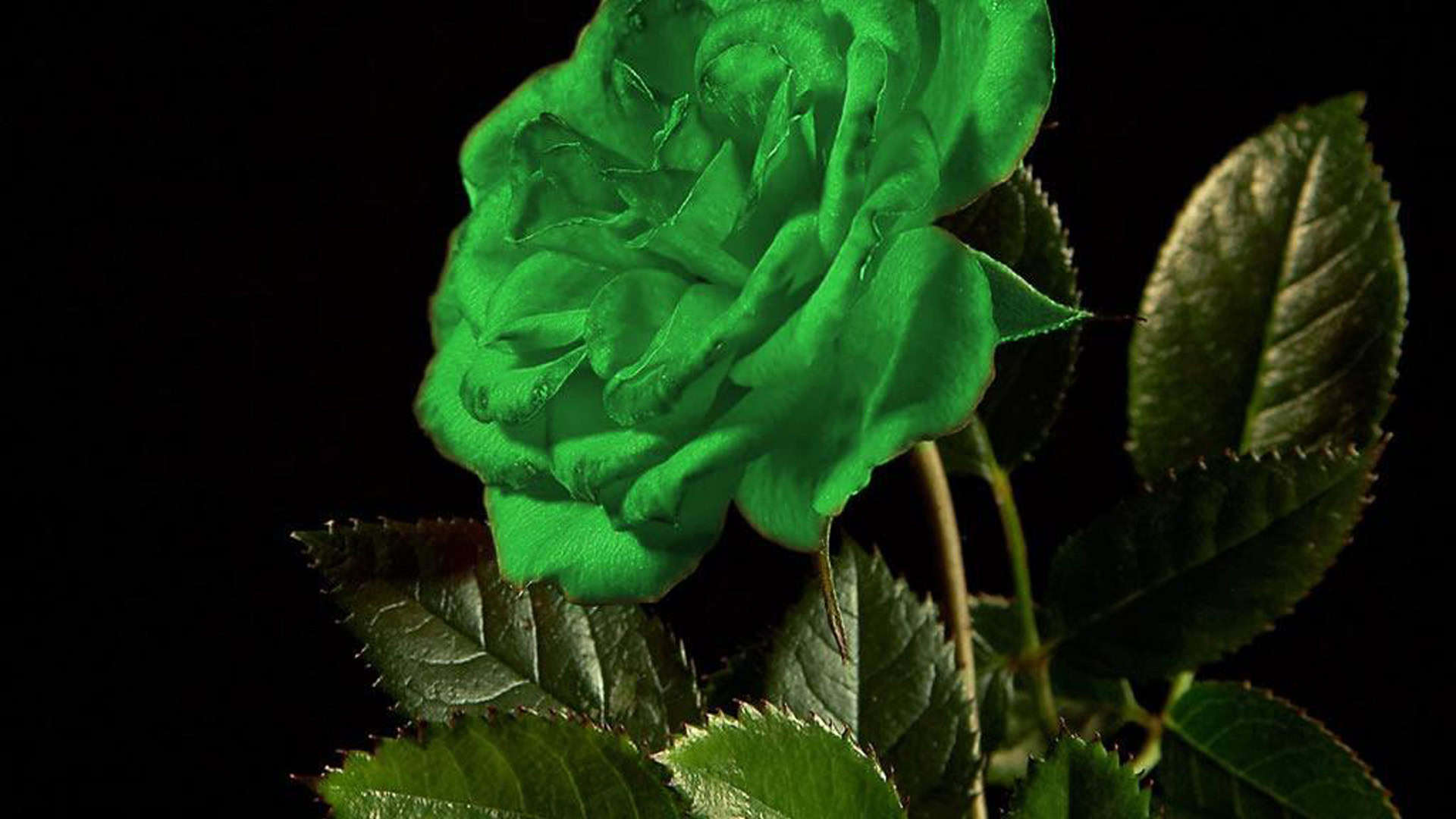 HD Unique Wallpaper