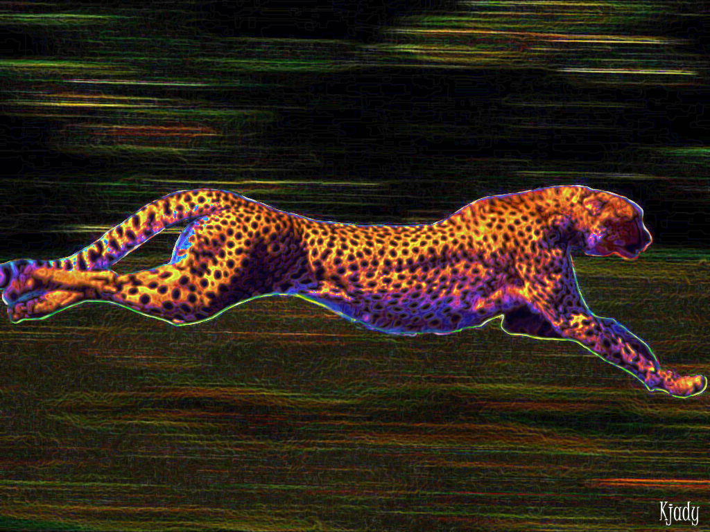 Rainbow Cheetah Wallpaper