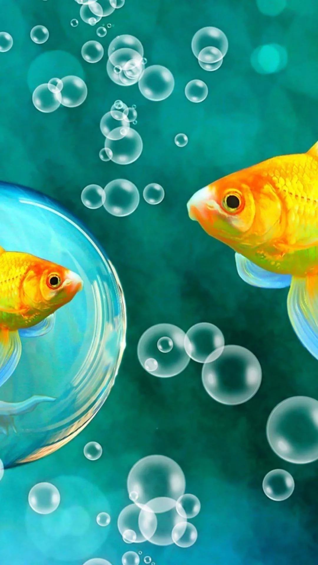 Fish iPhone Wallpaper