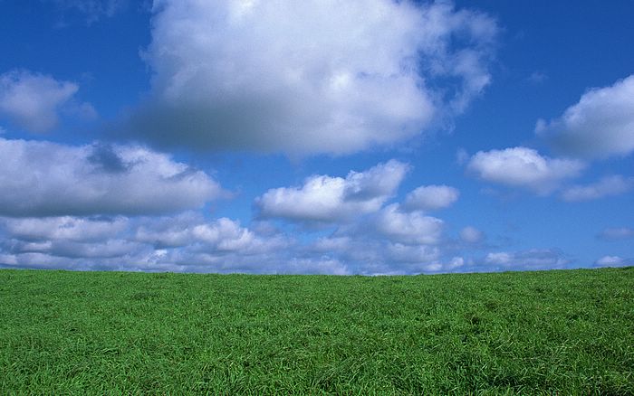 Sky And Green Field Peaceful Farm Landscape Wallpaper Wallcoo
