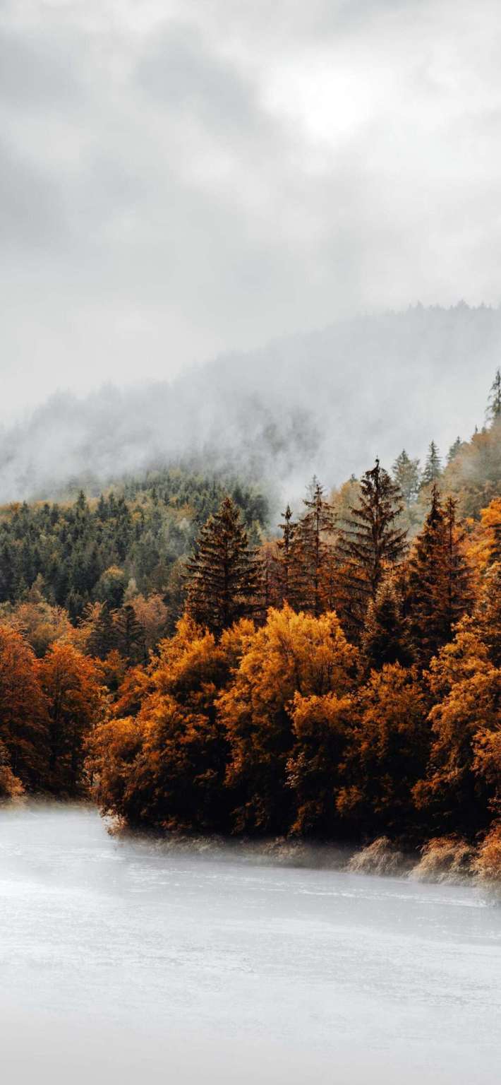 Beautiful Fall Wallpaper For iPhone May The Ray