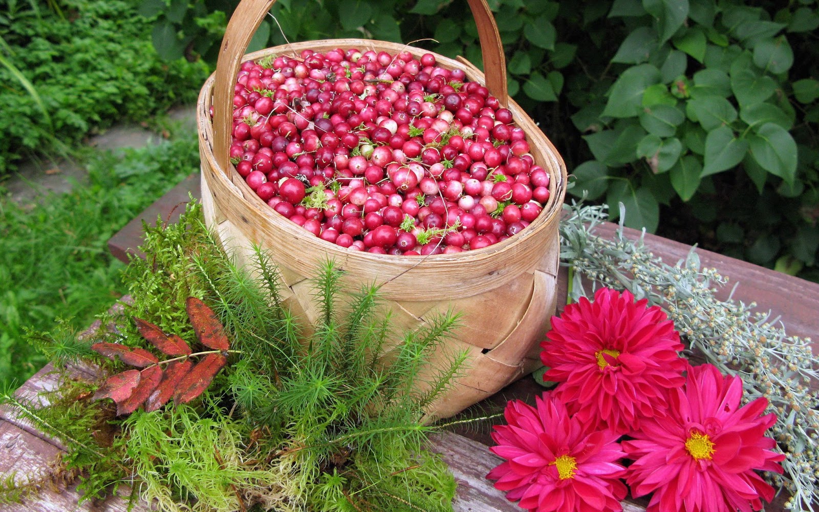 Windows Hd Wallpaper Food Desktop